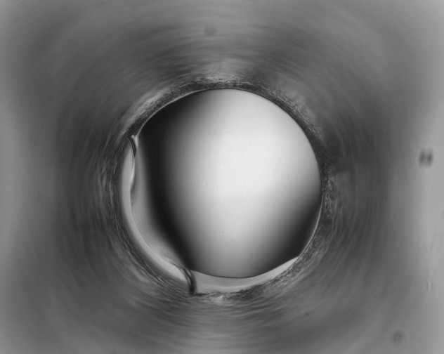 X0000098220116200805081207