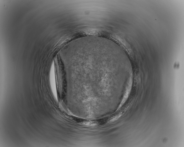 X0000098220117200805081207