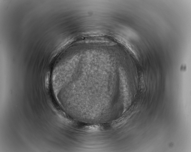 X0000098220118200805081207