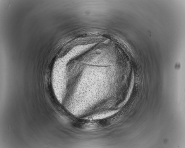 X0000098220119200805081207