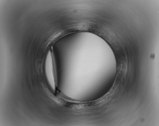 X0000098220120200805081207