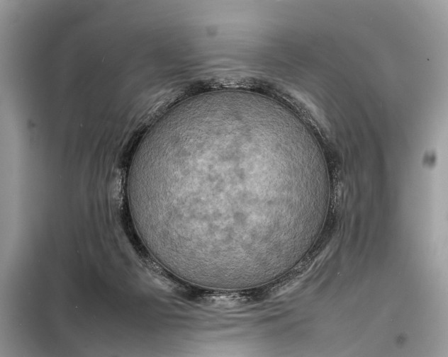 X0000098220121200805081207