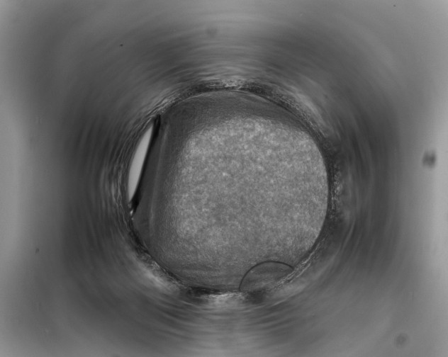 X0000098220122200805081207