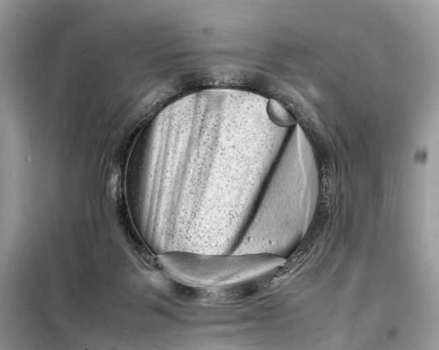 X0000098220123200805081207