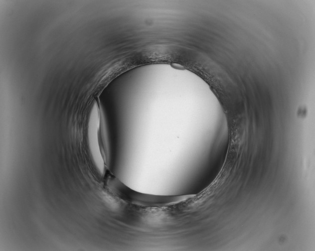 X0000098220124200805081207