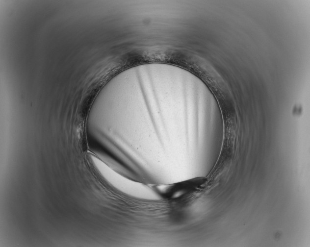 X0000098220125200805081207