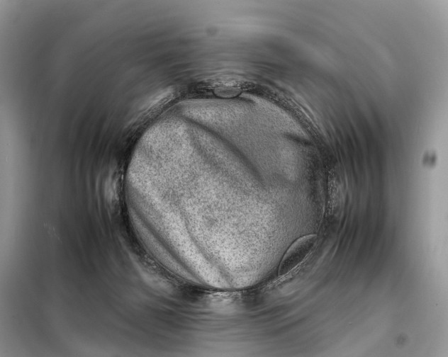 X0000098220126200805081207