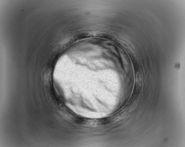 X0000098220127200805081207