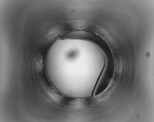 X0000098220128200805081207