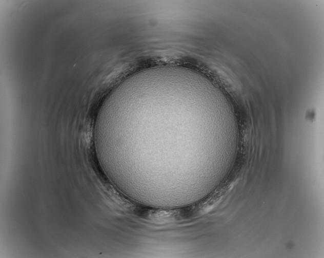 X0000098220129200805081207