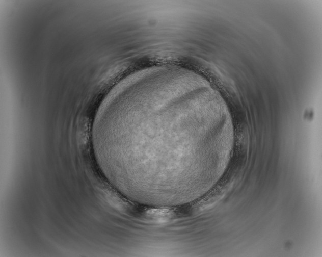 X0000098220133200805081207