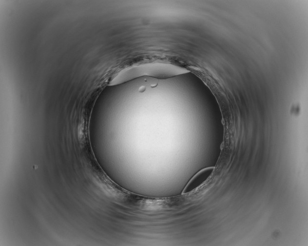 X0000098220134200805081207