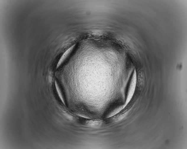 X0000098220135200805081207