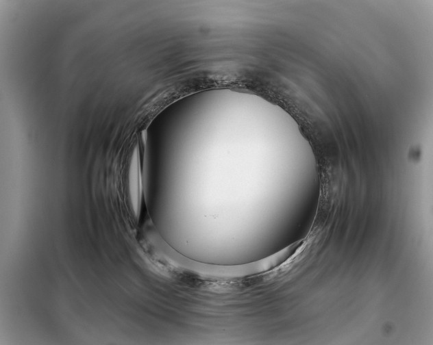 X0000098220136200805081207