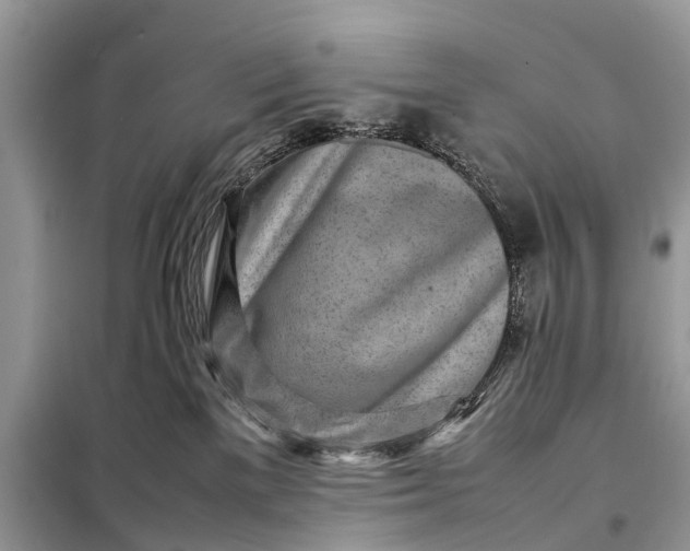 X0000098220137200805081207