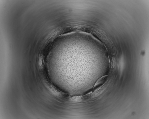 X0000098220138200805081207