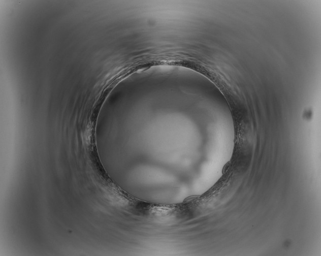 X0000098220139200805081207