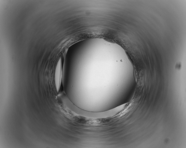 X0000098220140200805081207