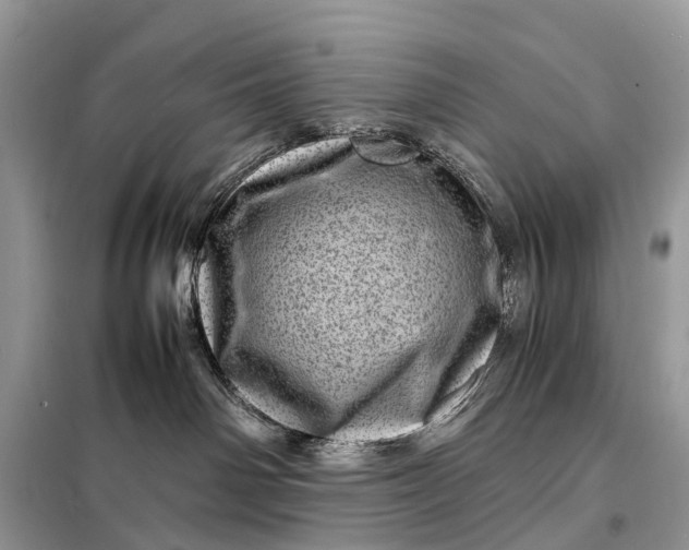 X0000098220142200805081207