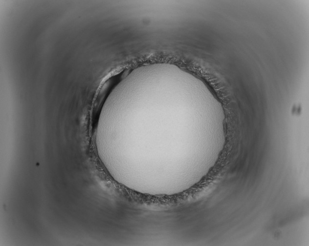 X0000098220144200805081207