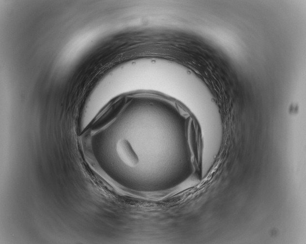 X0000098220146200805081206