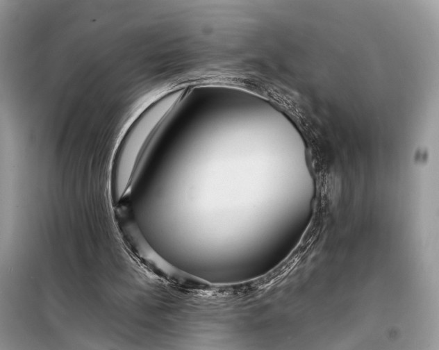 X0000098220148200805081206