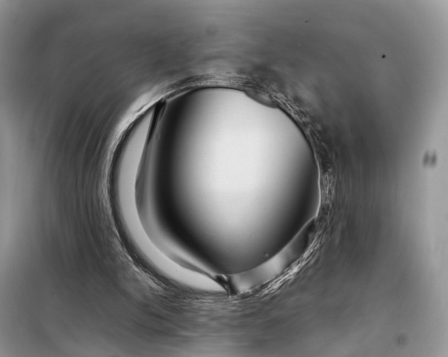 X0000098220150200805081206