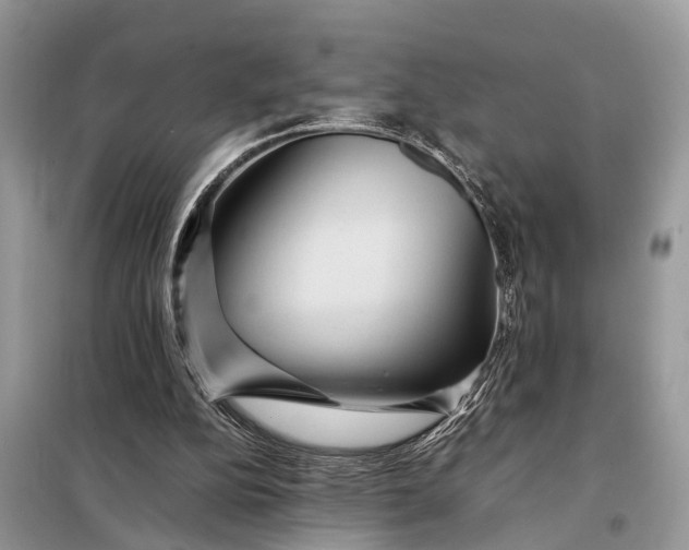 X0000098220152200805081206