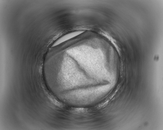 X0000098220153200805081206