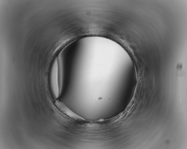 X0000098220154200805081206