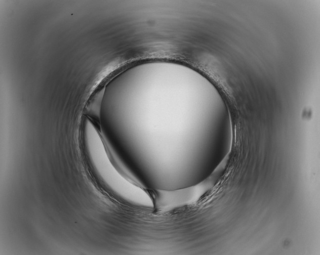 X0000098220156200805081206