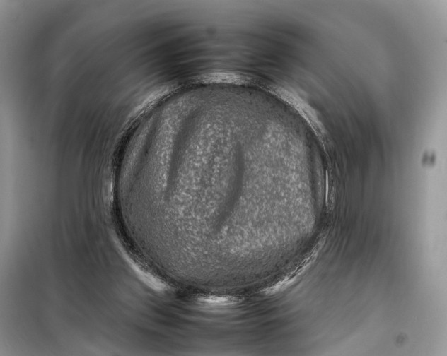 X0000098220157200805081206