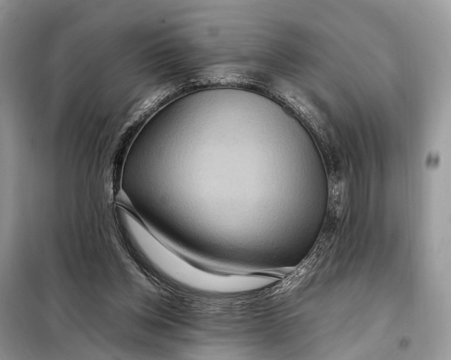 X0000098220158200805081206