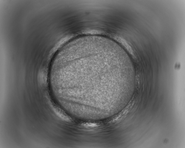 X0000098220159200805081207