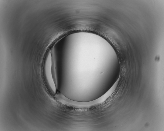 X0000098220160200805081207