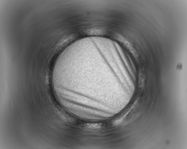 X0000098220161200805081207