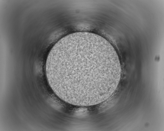 X0000098220162200805081207