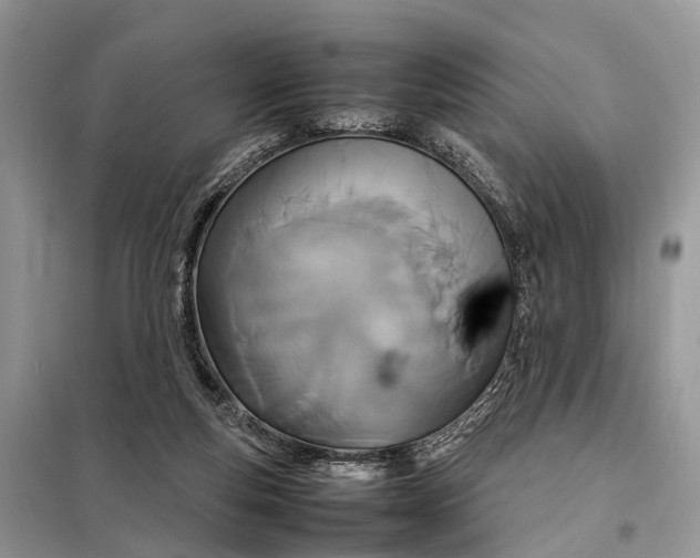 X0000098220163200805081207