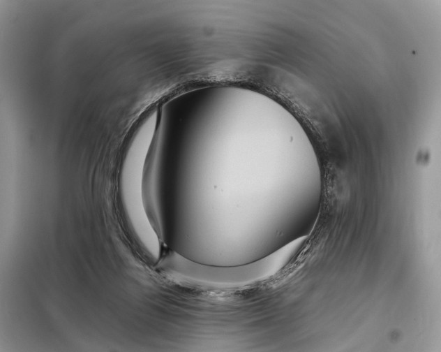 X0000098220164200805081207