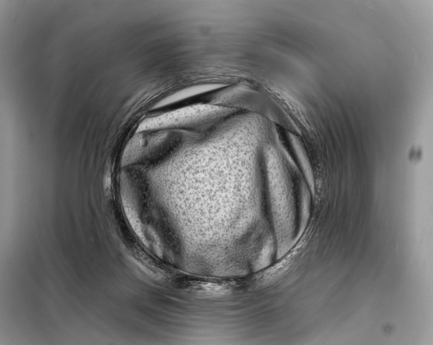 X0000098220166200805081207