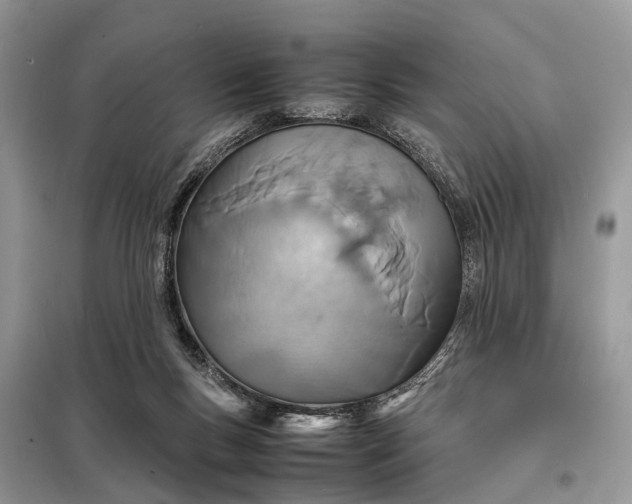 X0000098220167200805081207