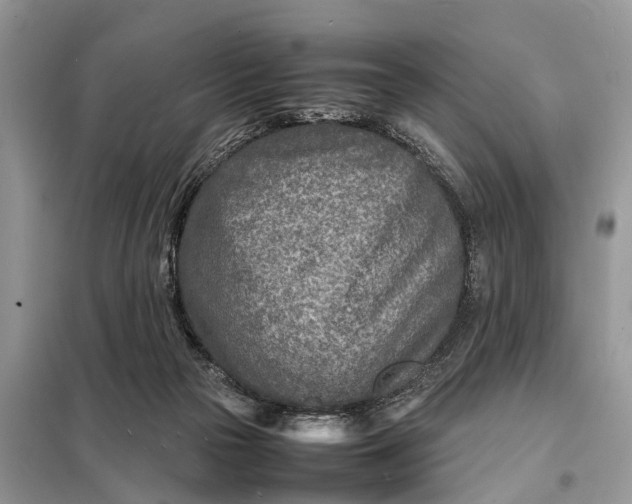 X0000098220169200805081207