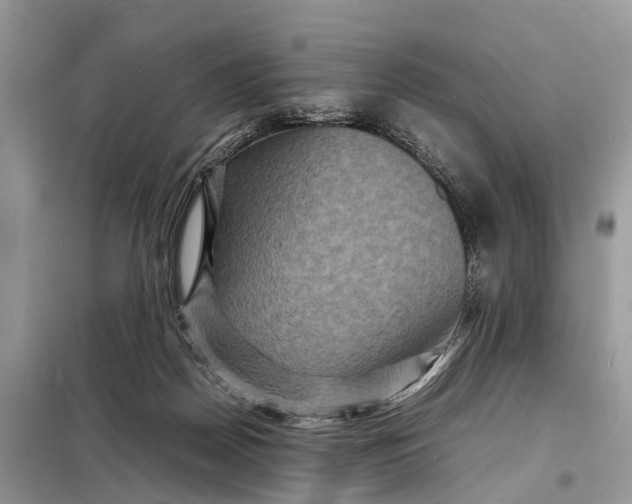 X0000098220170200805081207