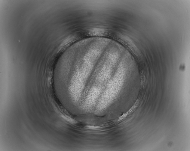 X0000098220171200805081207