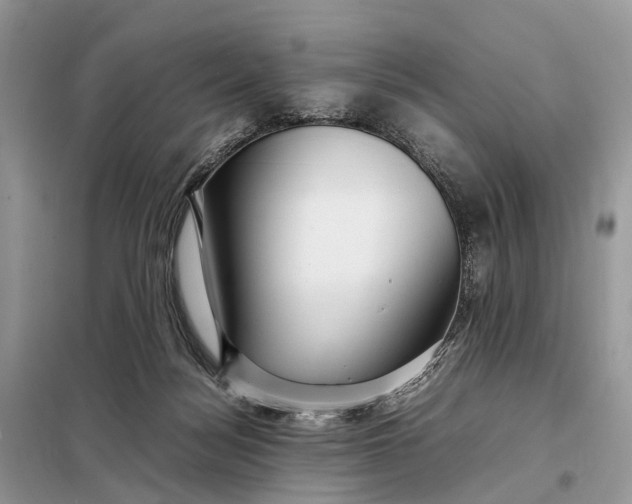 X0000098220172200805081207