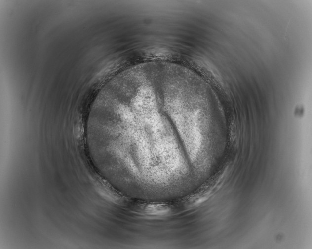 X0000098220173200805081207