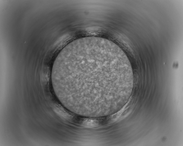 X0000098220174200805081207