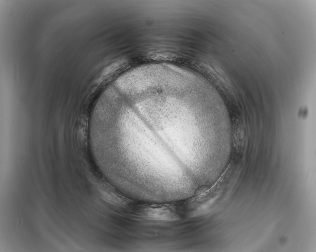 X0000098220175200805081207