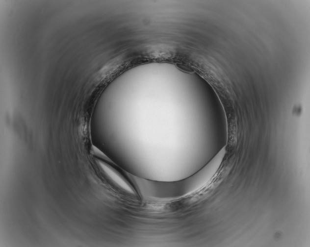 X0000098220176200805081207