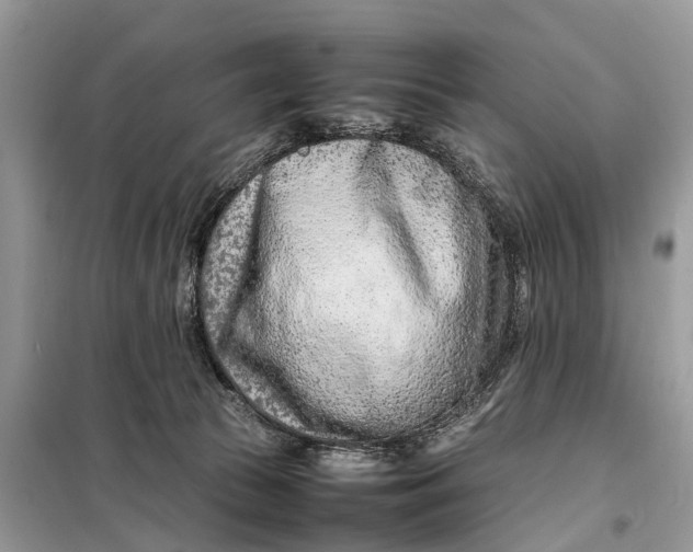 X0000098220177200805081207